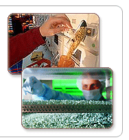 B2B exhibition pharmaceutical companies pharma machinery laboratory analytical equipment manufacturers trade show
